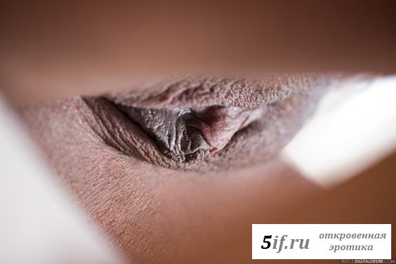 Голые развратные фото девушки