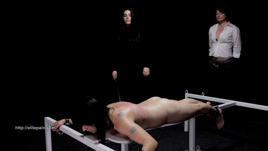 Бдсм электричеством ELITEPAIN