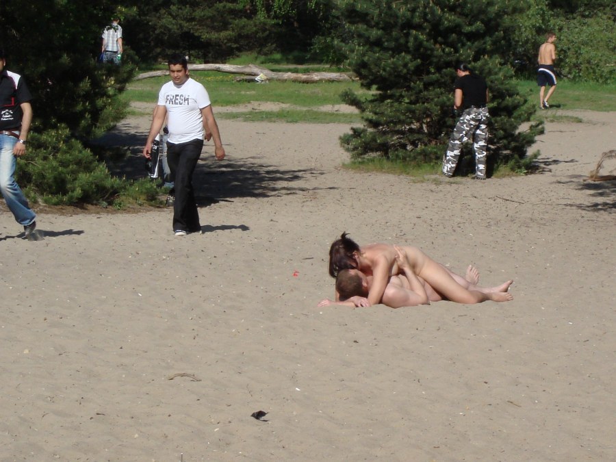 Доггинг серебрянный Бор
